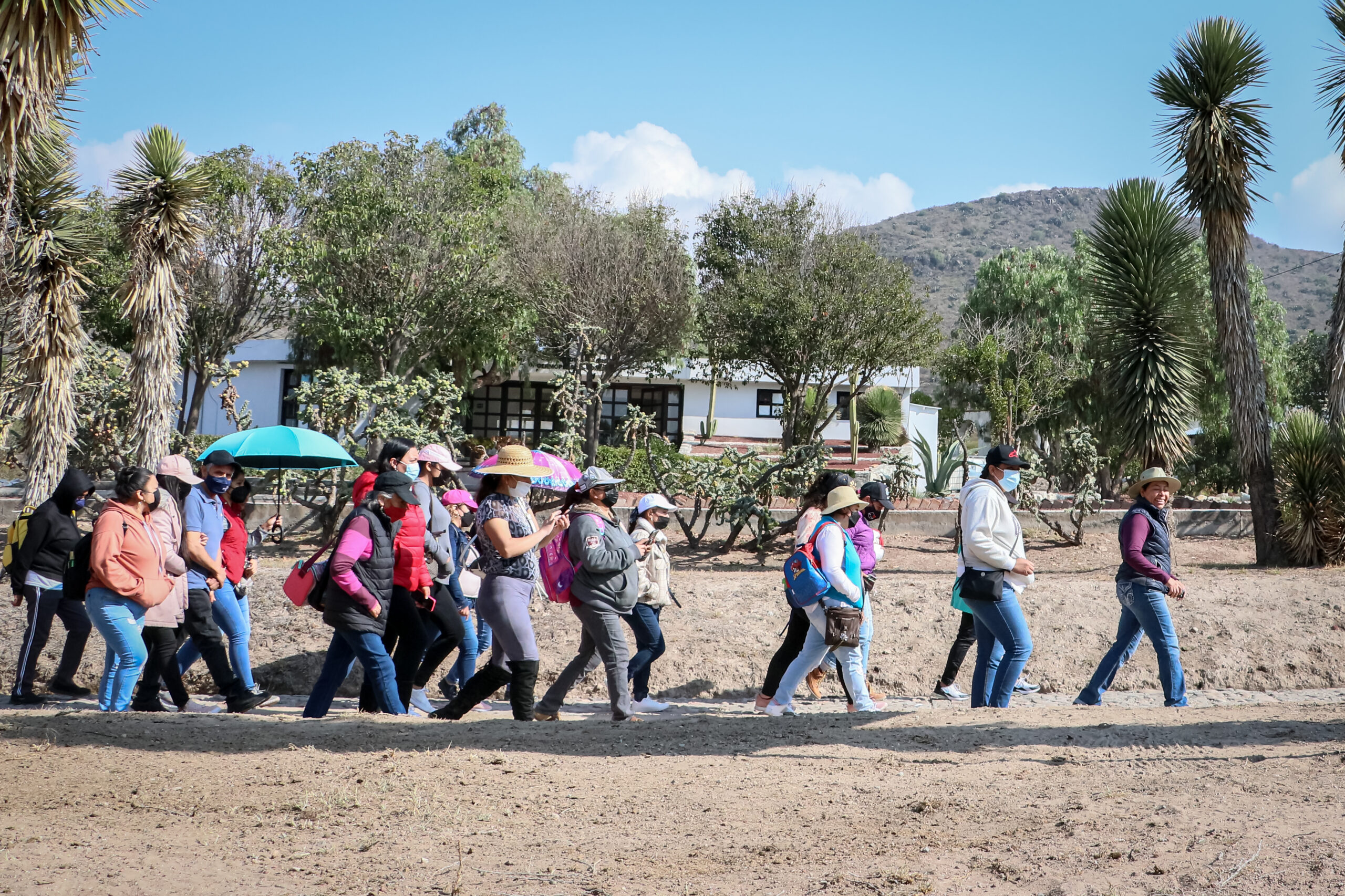 Parque ecológico de Cubitos